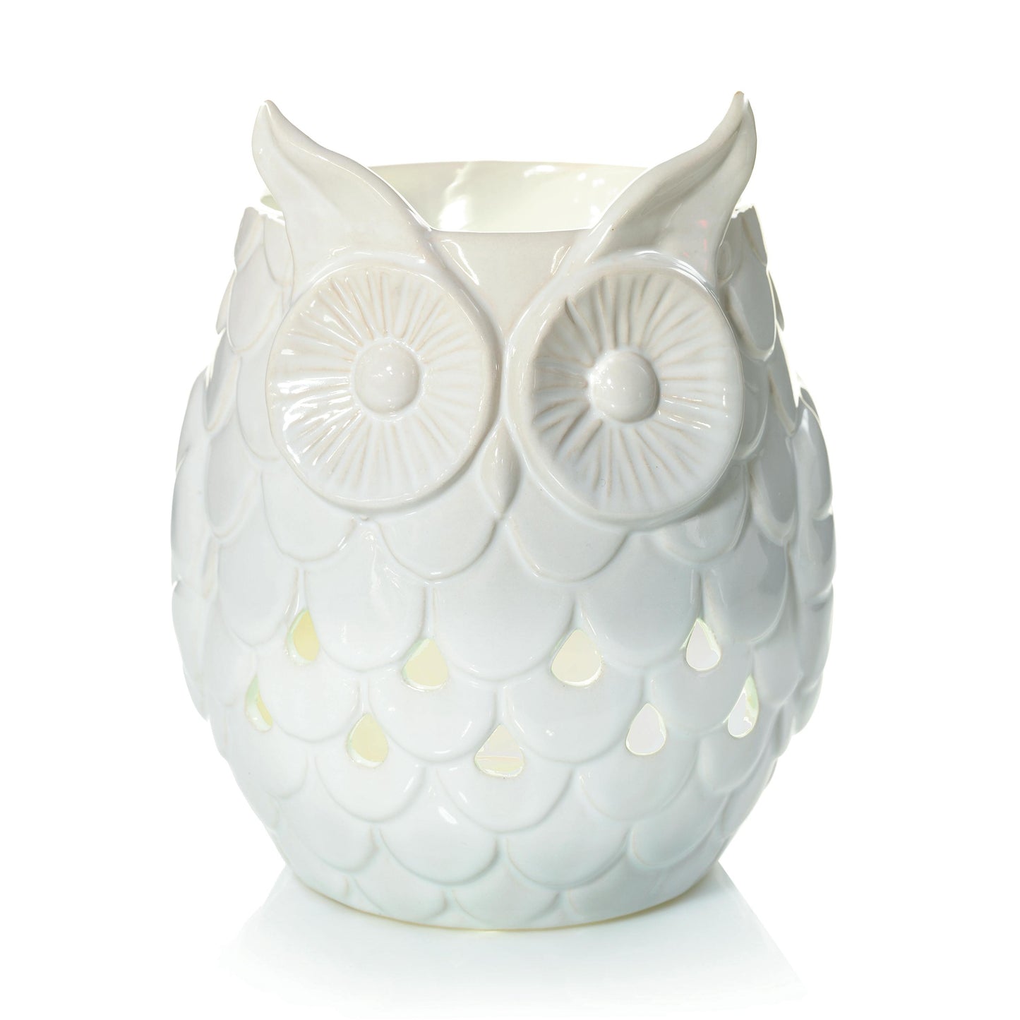 Owl - 0ZZO
