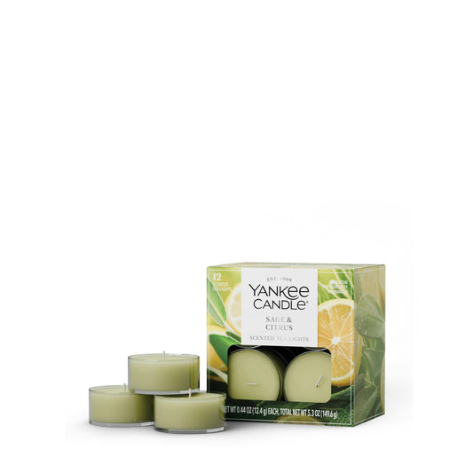 Sage & Citrus - 9639