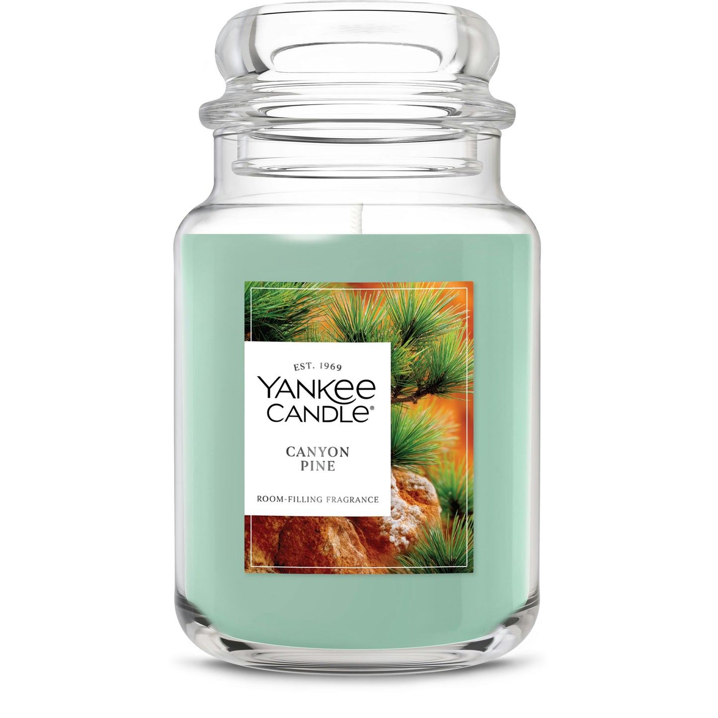 Canyon Pine - 9ZHC