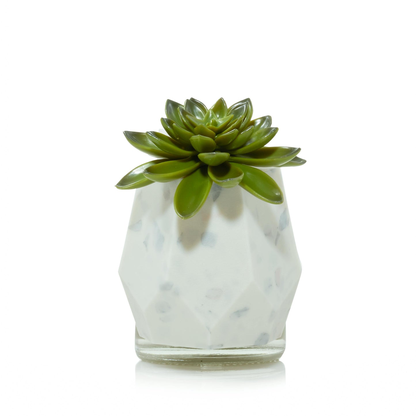 Faceted Succulent ScentPlug® Diffuser with Light - AZMC