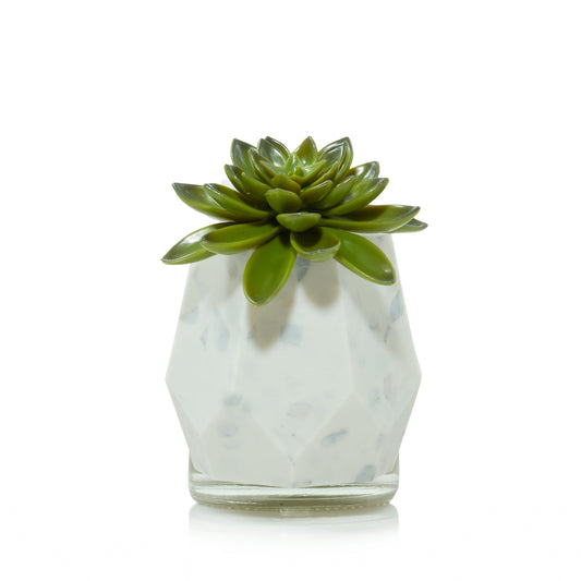 Faceted Succulent ScentPlug® Diffuser with Light - AZMC